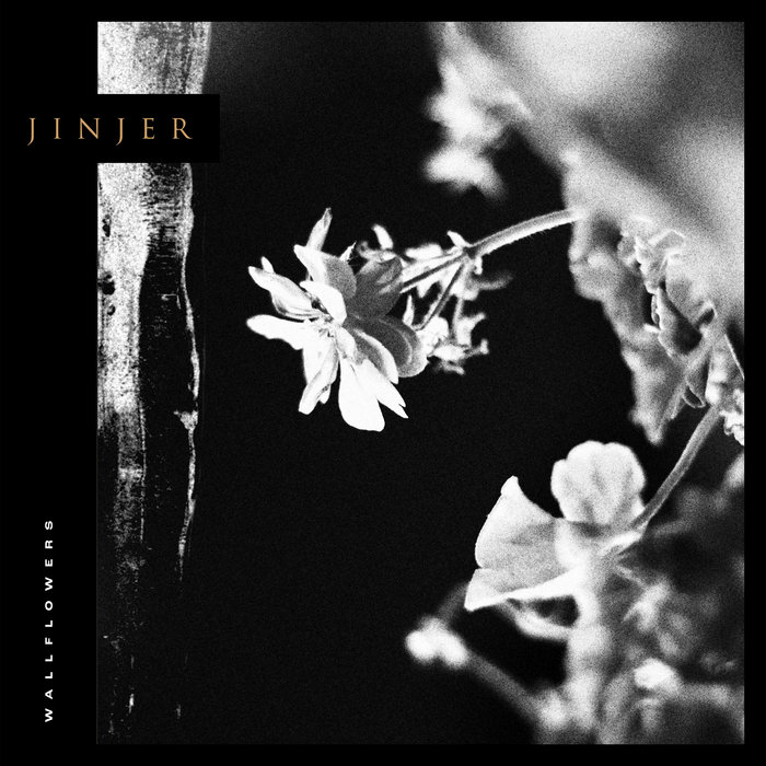 Album cover for Wallflowers by Jinjer.