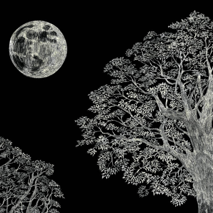 Archives | Kaoru Inoue | SeedsAndGround