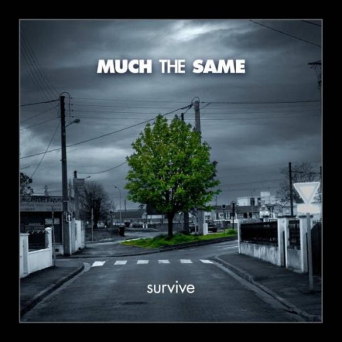 Survive | Much The Same