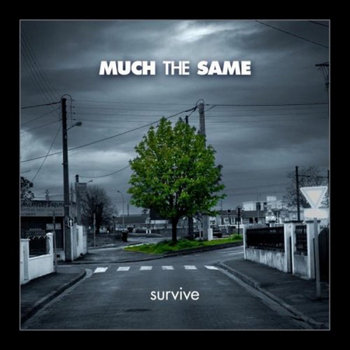 Survive | Much The Same