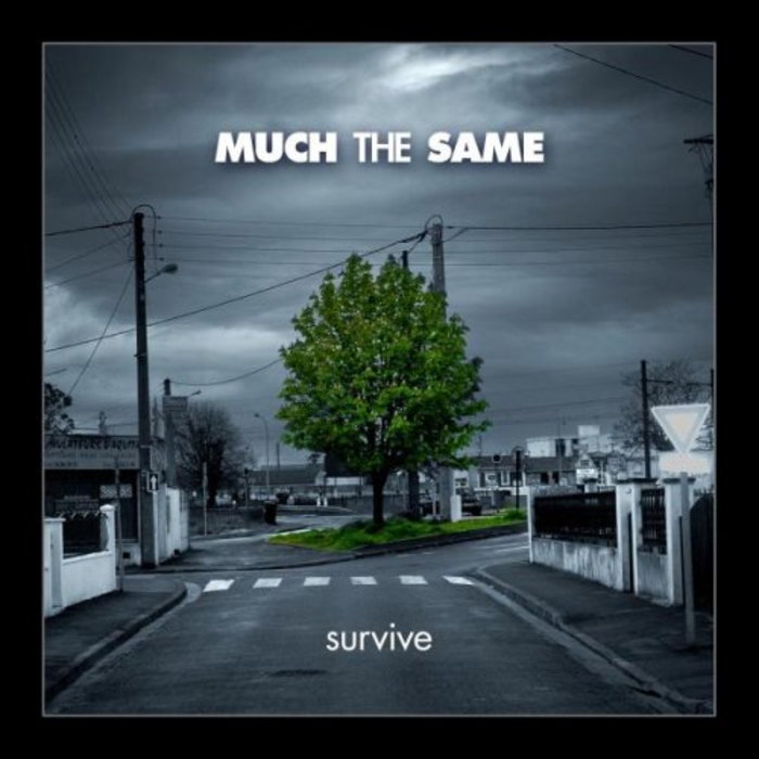Survive | Much The Same