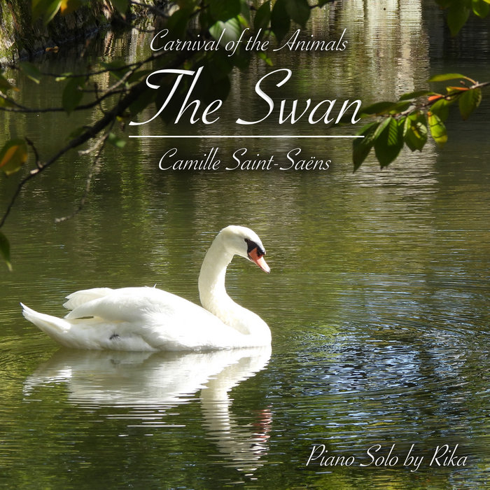 The Swan cover art