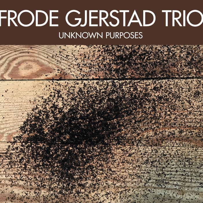 Unknown purposes | Frode Gjerstad, as, cl, Jon Rune Strøm, b Unknown purposes | Frode Gjerstad, as, cl, Jon Rune Strøm, b