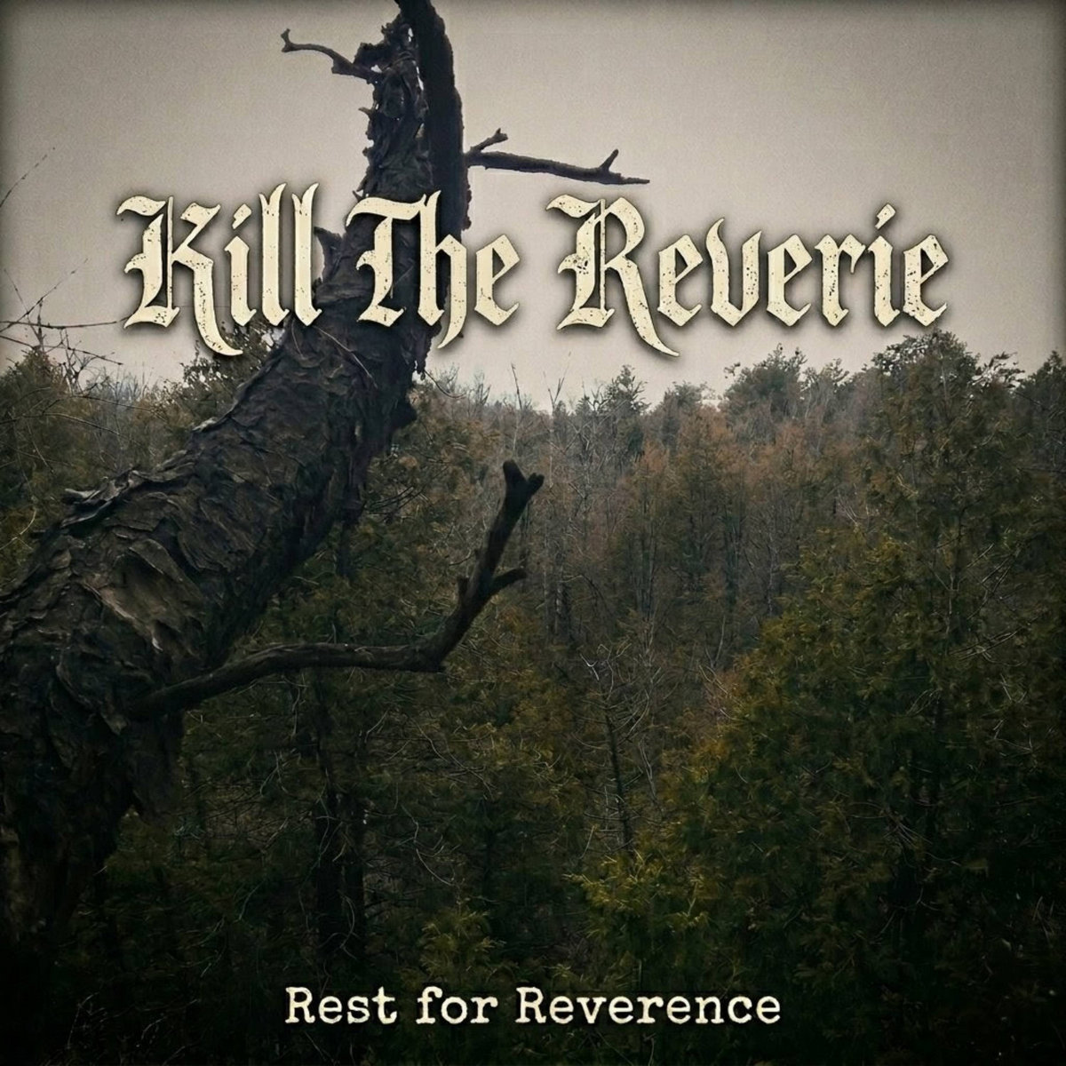 Rest for Reverence (Remastered)