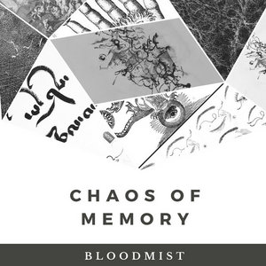 Chaos of Memory cover