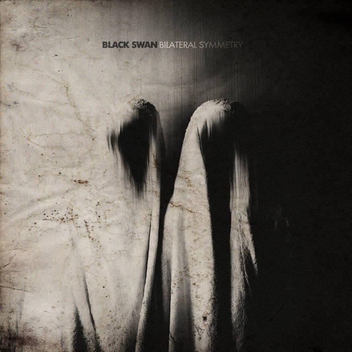 The Quiet Divide (2011) | Black Swan