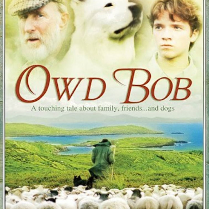 OWD BOB | Alan Reeves