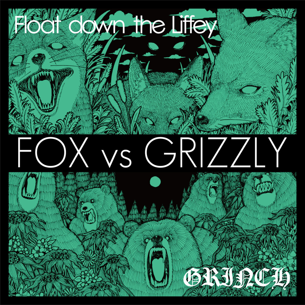 FOX vs GRIZZLY Float down the Liffey