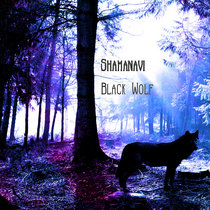 Black Wolf cover art
