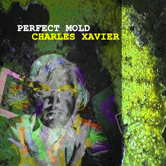 PERFECT MOLD Charles Xavier