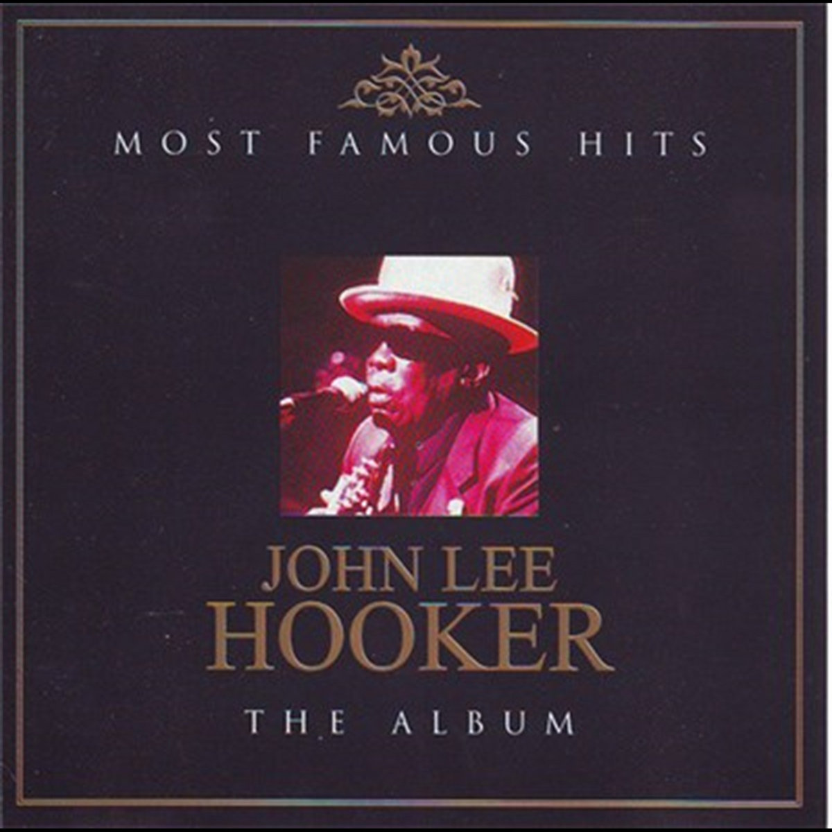 Most Famous Hits John Lee Hooker 