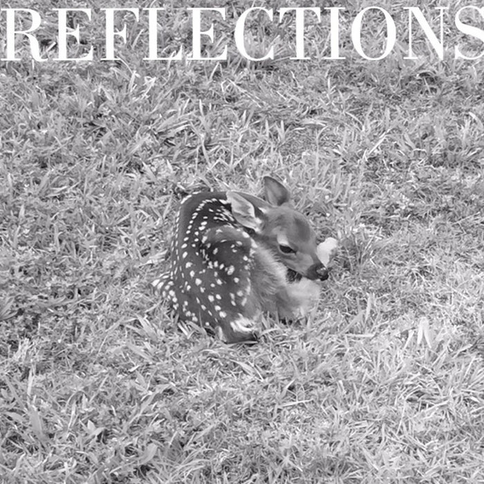 Reflections James Keener