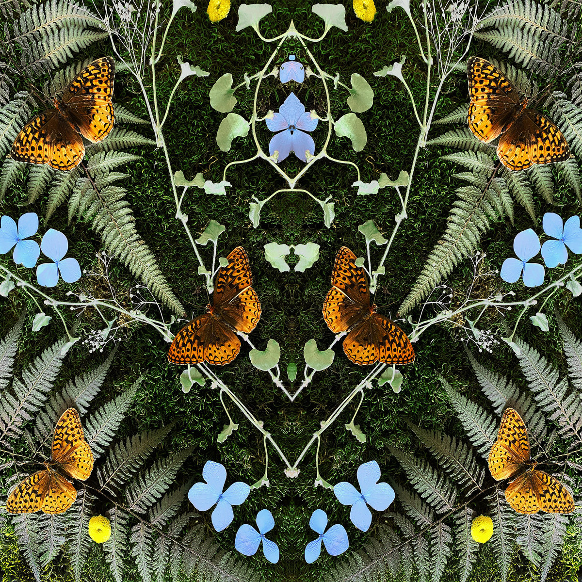  Jean-Michel Blaisaubades 