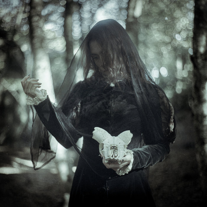 light/darkness, by Ulmus