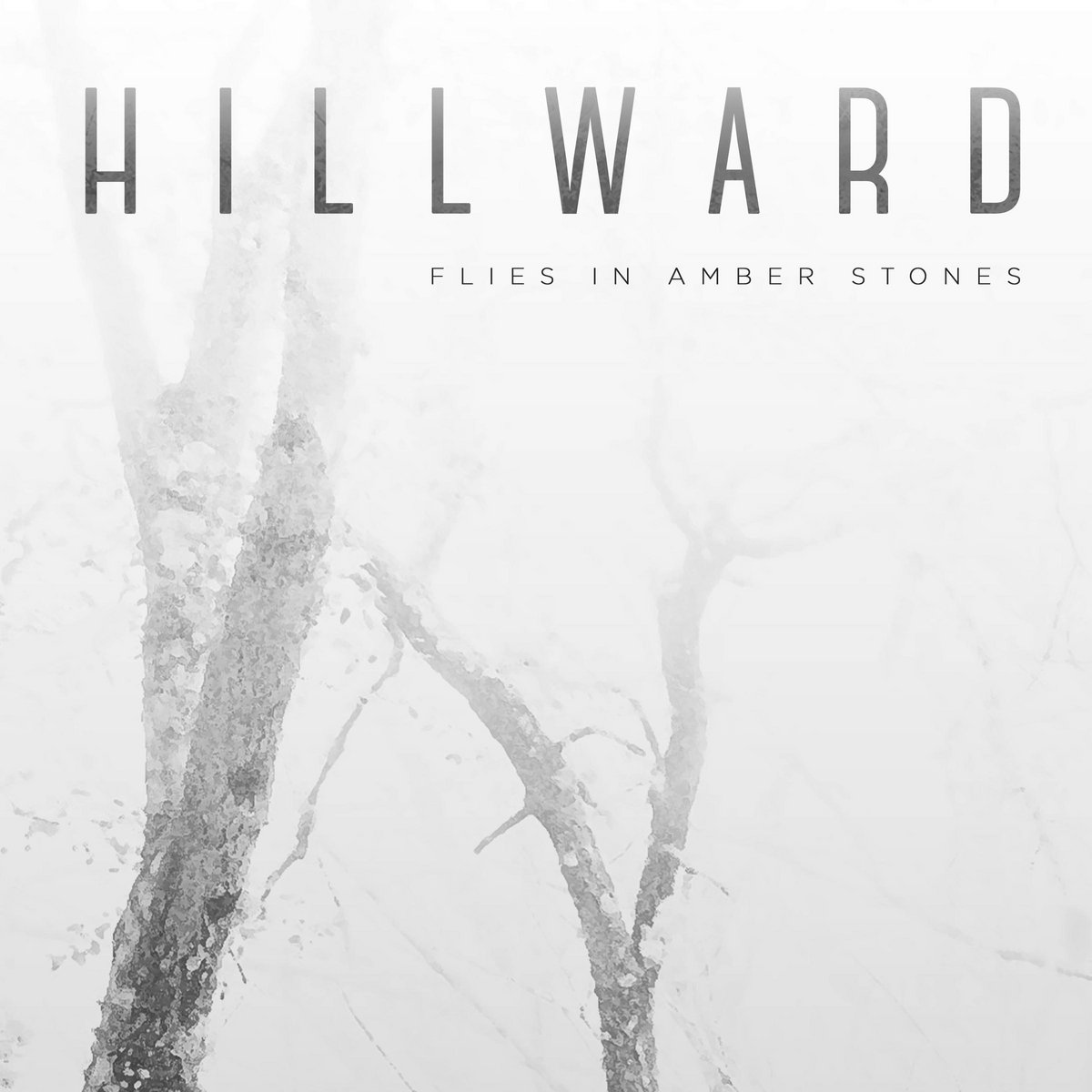 Flies In Amber Stones | Hillward