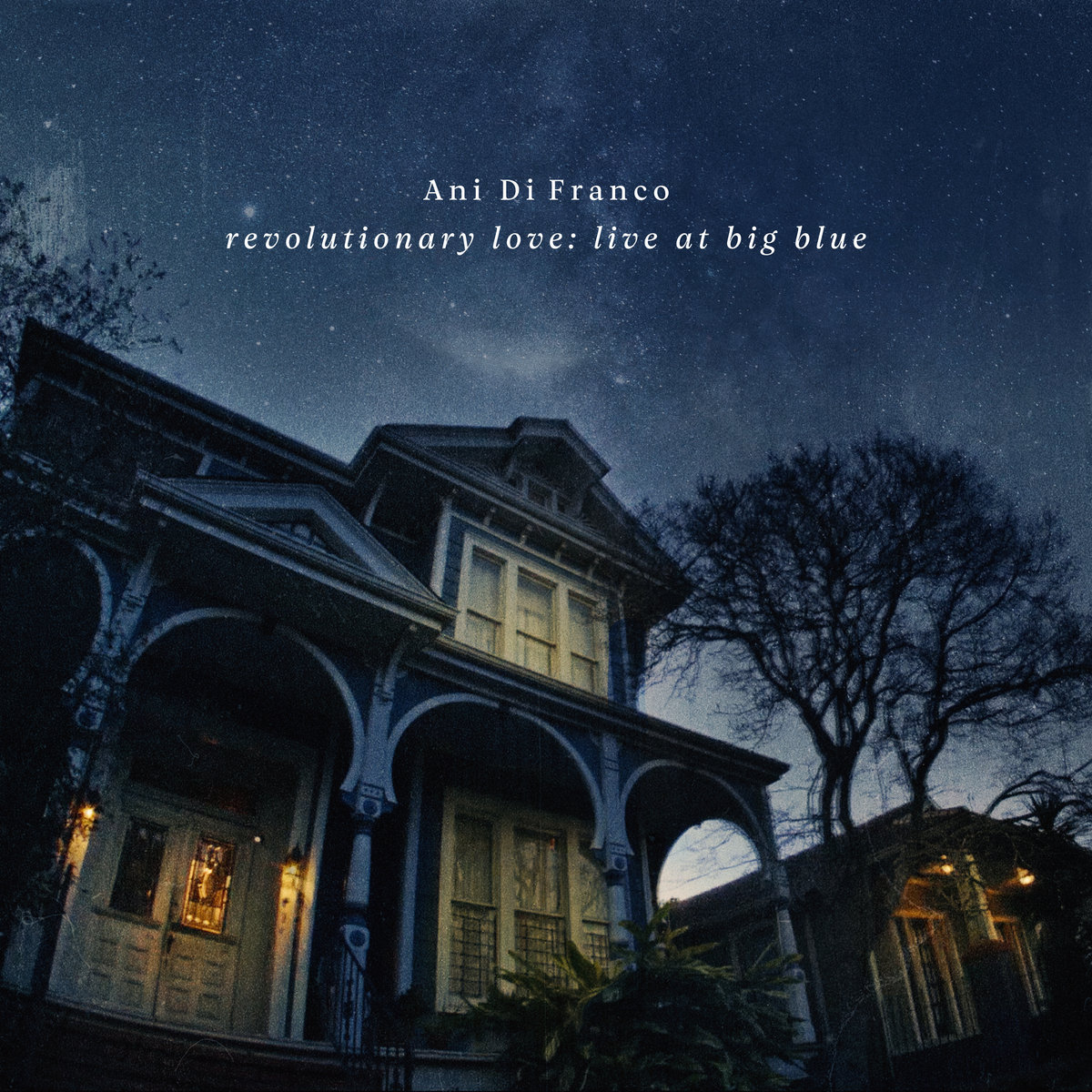 Revolutionary Love: Live at Big Blue | Ani DiFranco