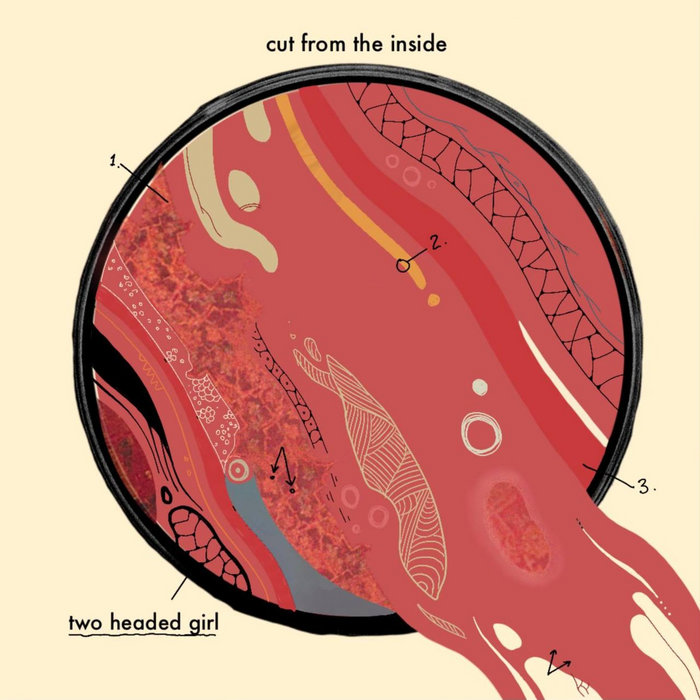 Cut from the inside | Two Headed Girl