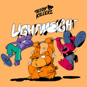 Lightweight cover