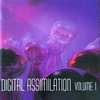 Digital Assimilation
