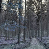 hiddentraffic.bandcamp.com