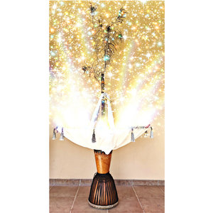 Golden Fountain cover