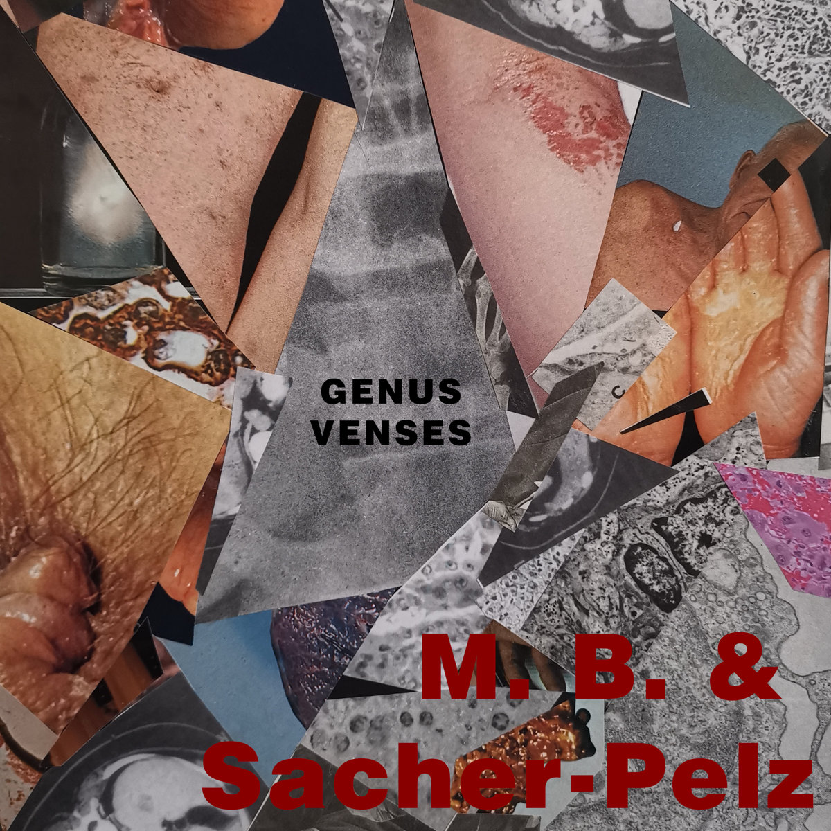 Genus Venses | Maurizio Bianchi / M.B. & Sacher-Pelz | Ultra Gash