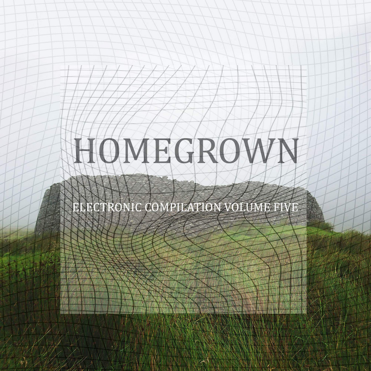 HomeGrown Electronic Volume 5 cover