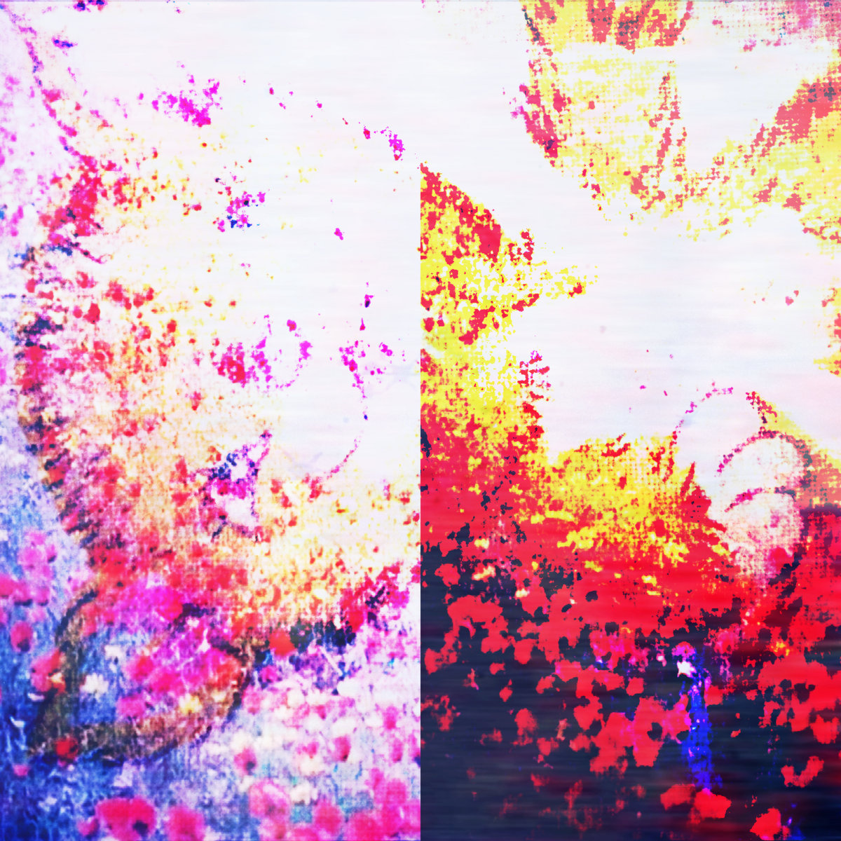 a field without trees | Henaden | :cat2: