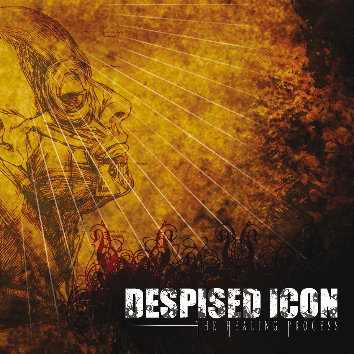 The Healing Process (Alternate Mix + Bonus Tracks Edition