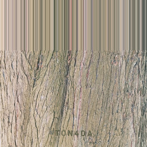 TON4DA cover