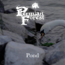 Pond cover art