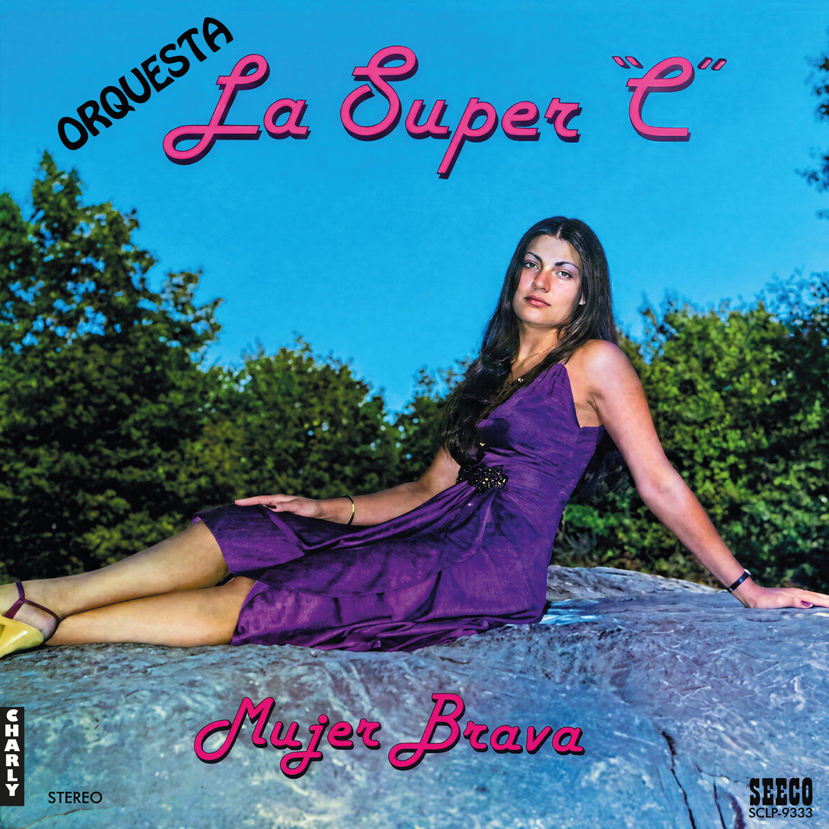 Mujer Brava by Orquesta La Super "C"