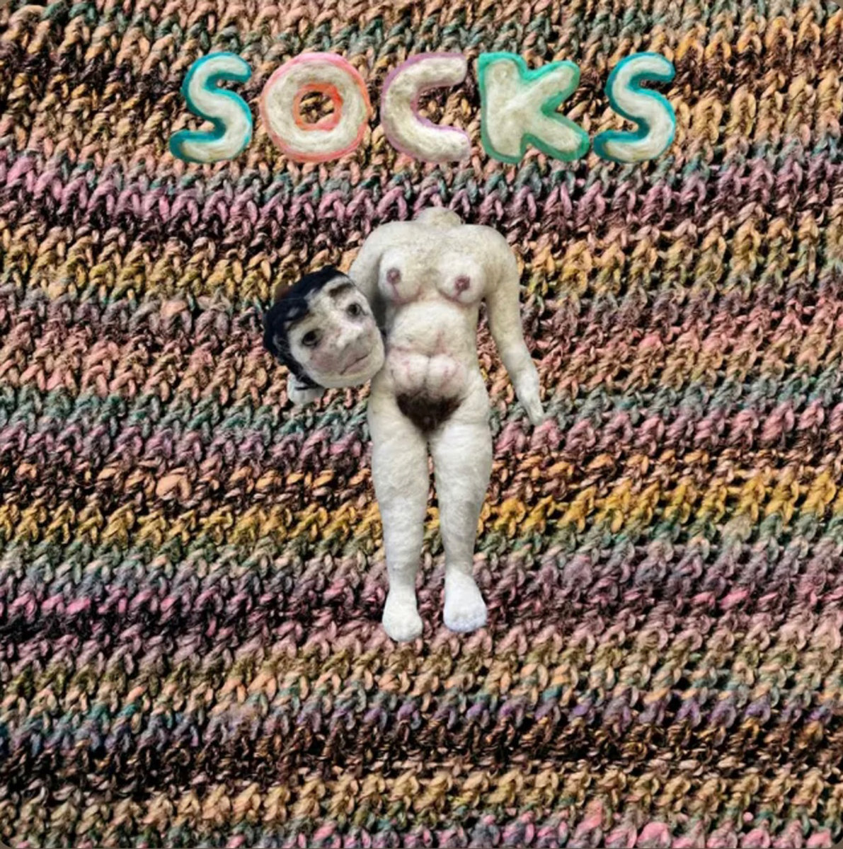 Socks cover