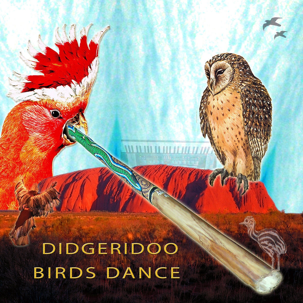 Didgeridoo Birds Dance, Various Artists