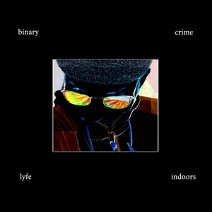 Binary Crime cover