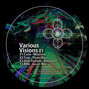 Various Visions 01 | Circle Vision