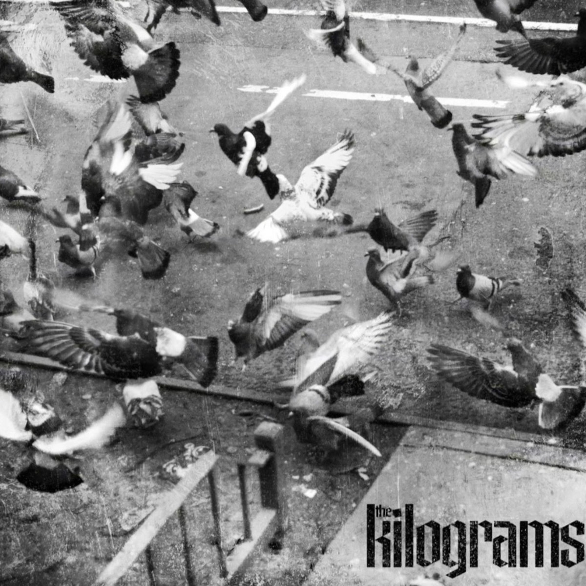 the kilograms | The Kilograms