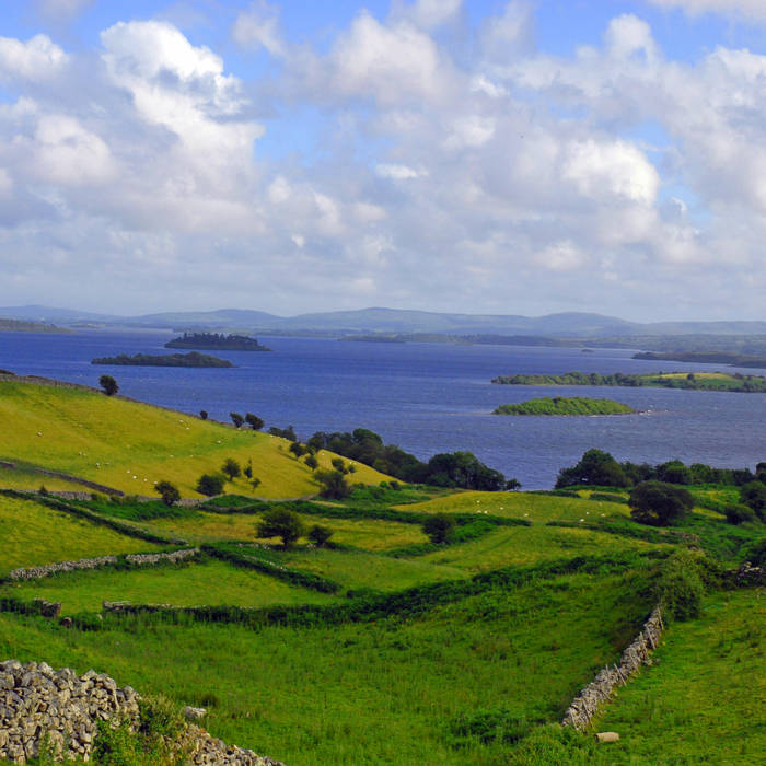 Costello alchetron malevolence artistry The New Years Day Song Band