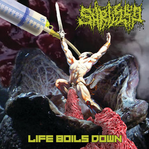 Life Boils Down (Split w/ Headless Death) cover