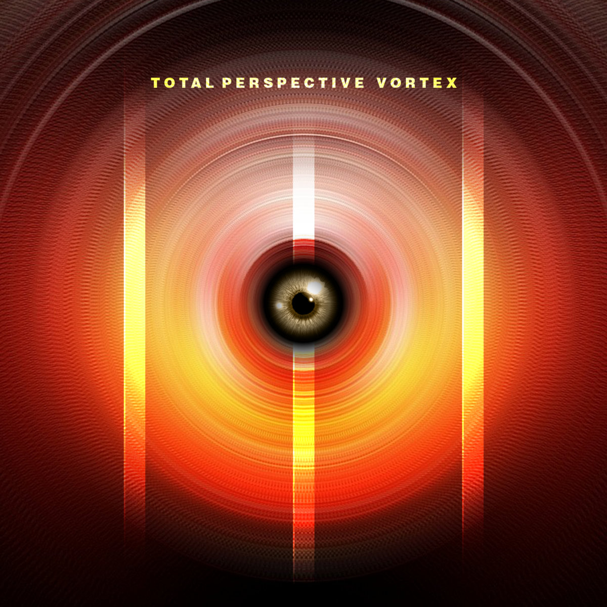 III | Total Perspective Vortex
