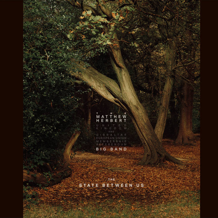 ワールドワイド2LP Matthew Herbert x London Conte The Horse 538888711 Modern Recordings, B /00520 The Horse (Special Edition) | Matthew Herbert x London