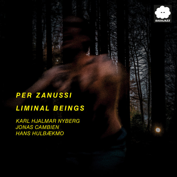 Pochette de Liminal Beings par Per Zanussi