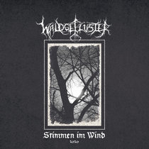 Stimmen im Wind 2020 cover art