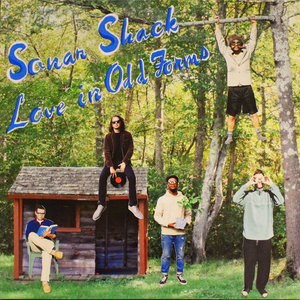 Love in Odd Forms cover
