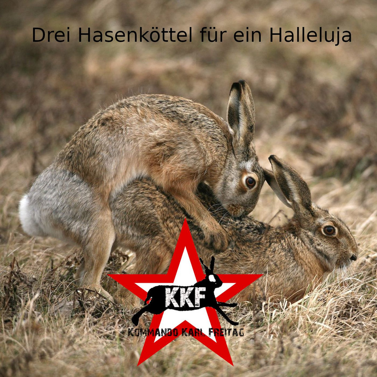 Drei Hasenkttel fr ein Halleluja | Kommando Karl Freitag | Kommando Karl  Freitag