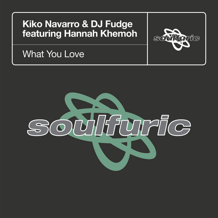 What You Love (Extended Mix) | Kiko Navarro & DJ Fudge featuring