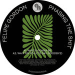 Phasing The Shit EP