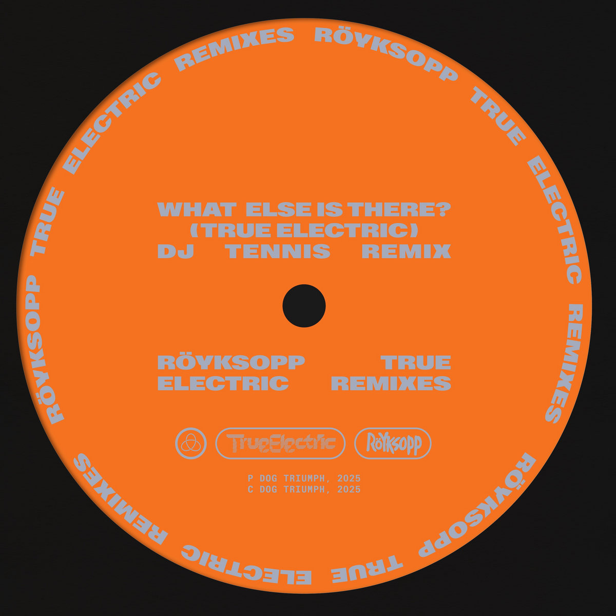 What Else Is There? (ft. Fever Ray) [True Electric] (DJ Tennis