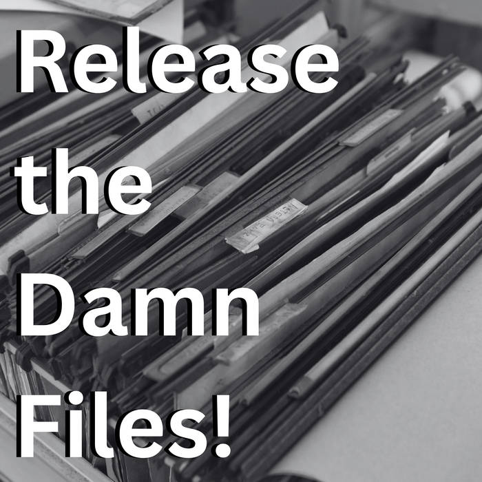 Release The Damn Files! by Djembe Funk cover art