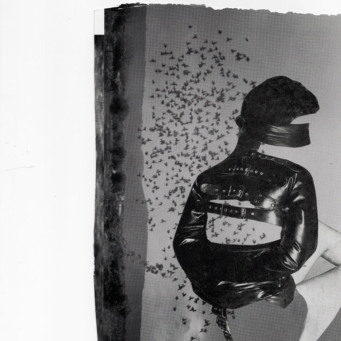 Less Today Plaster 0f Paris